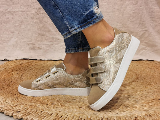Sneakers serpent doré scratch