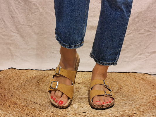 Mules Arizona Camel