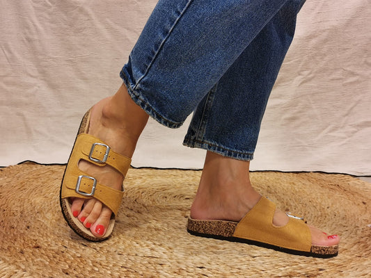 Mules Arizona Camel